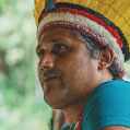 Stamhoofd Naldo Tembé
